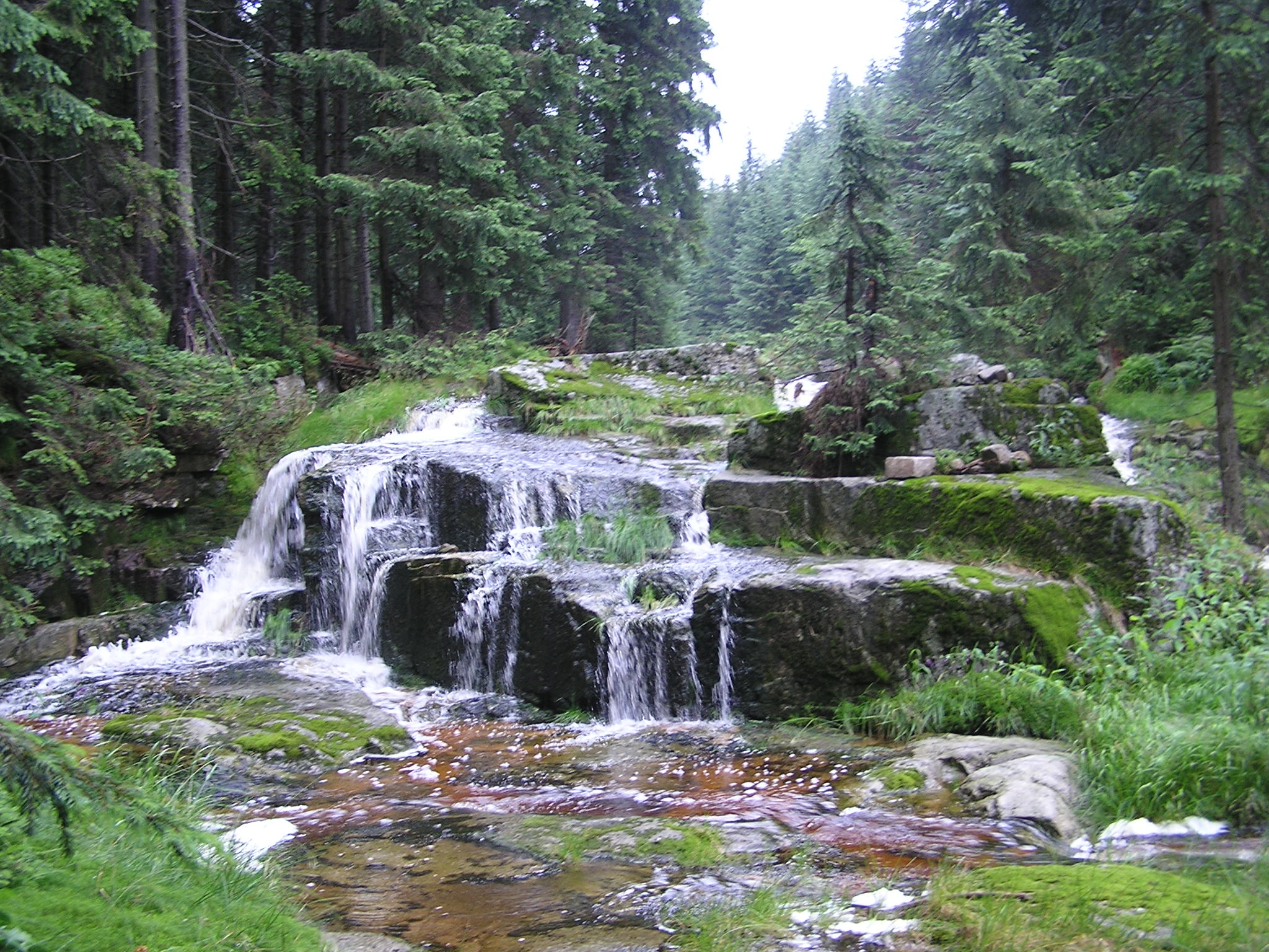 P1010014.JPG
