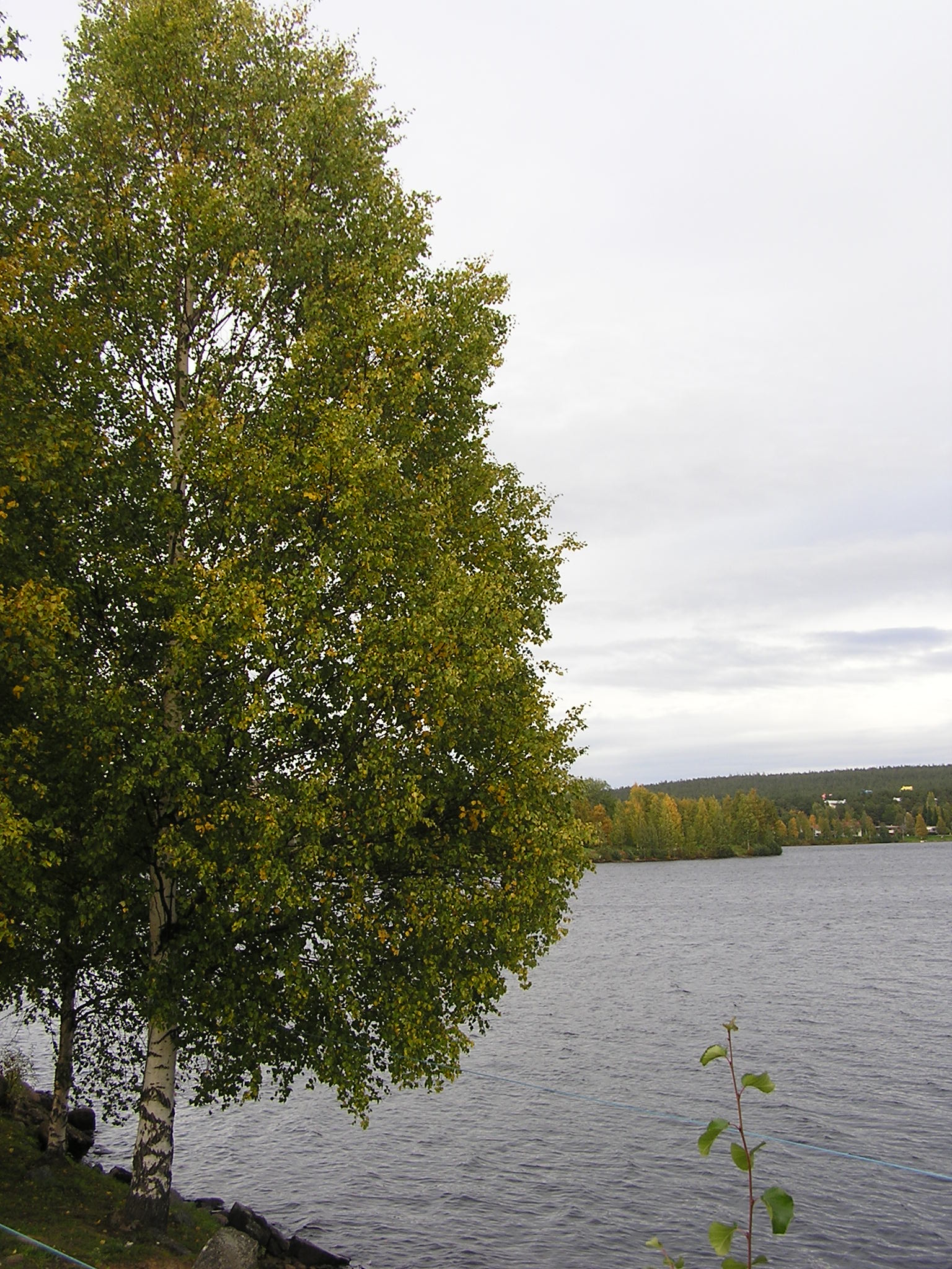 P1010381.JPG