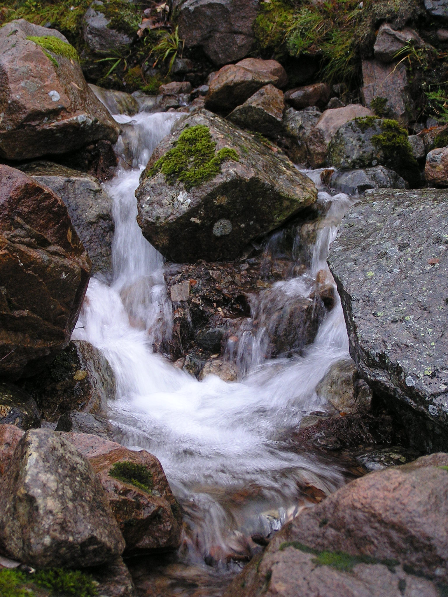 P1010272.JPG